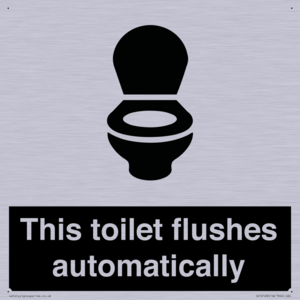 This toilet flushes automatically